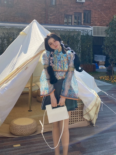 Металлический небольшой дизайнерский орган, барсетка, сумка на одно плечо, сумка для телефона, небольшая сумка, коллекция 2023, новая коллекция