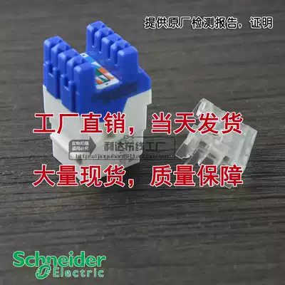 Schneider Class 6 Module France Schneider Class 6 Unshielded Network Module Schneider Gigabit Module