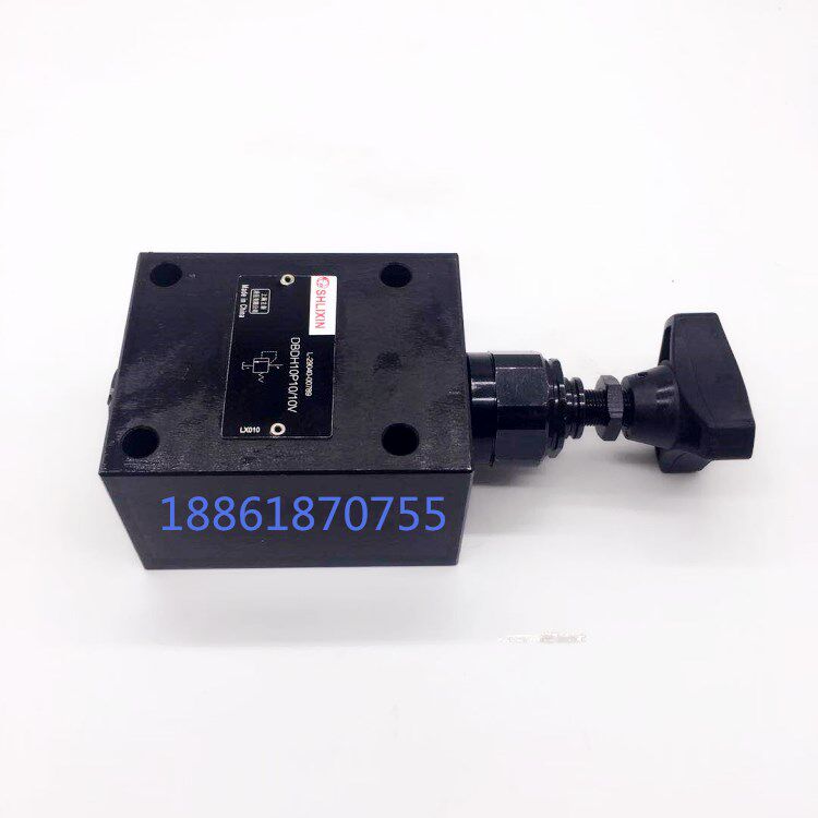 Shanghai Lixin Direct-acting overflow valve DBDH6P10 31 5 DBDH6K DBDH6G10 20 10 5