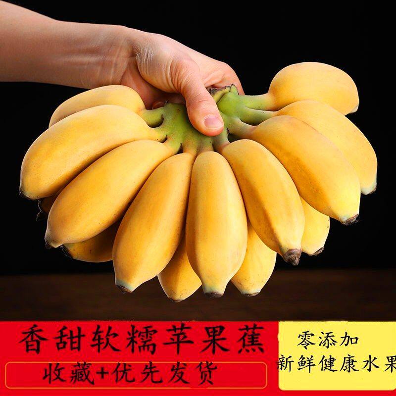 Today's great special price Apple plantain 5 catty millet Banana Fresh Fruit Banana Fruit Hair pregnant woman Banana Powder Glutinous sweet 3