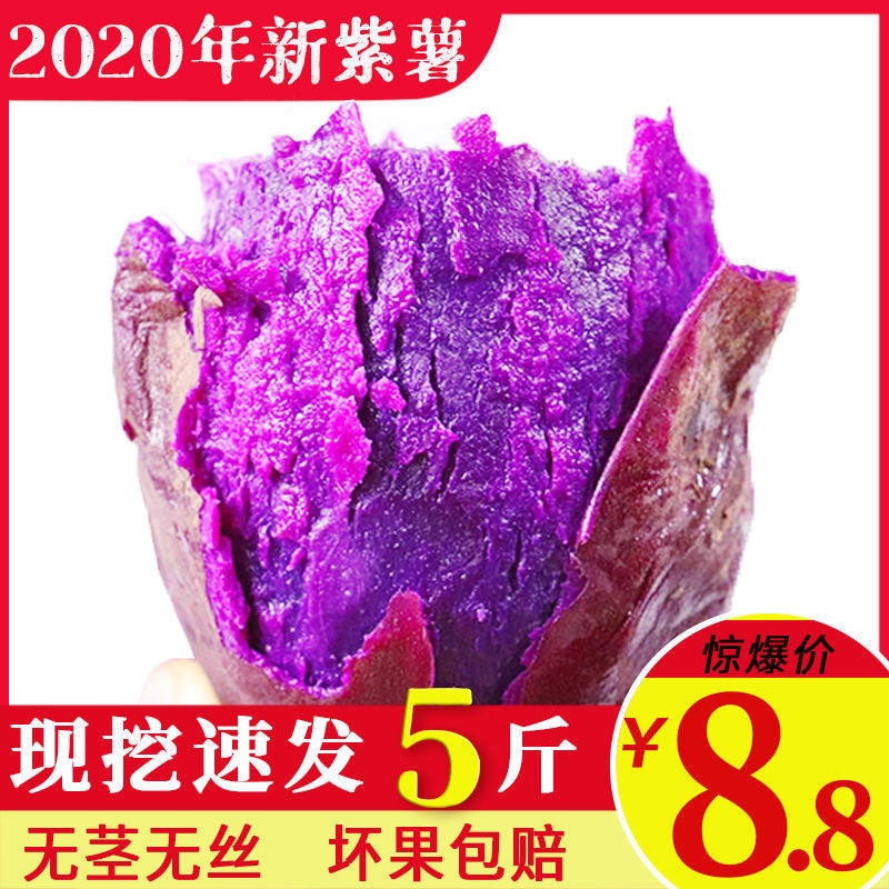 Sweet and soft glutinous 3 catties of purple potatoes fresh batch of violets, chestnuts, sweet potatoes, sweet potatoes, sweet potatoes, 5 catties, whole box