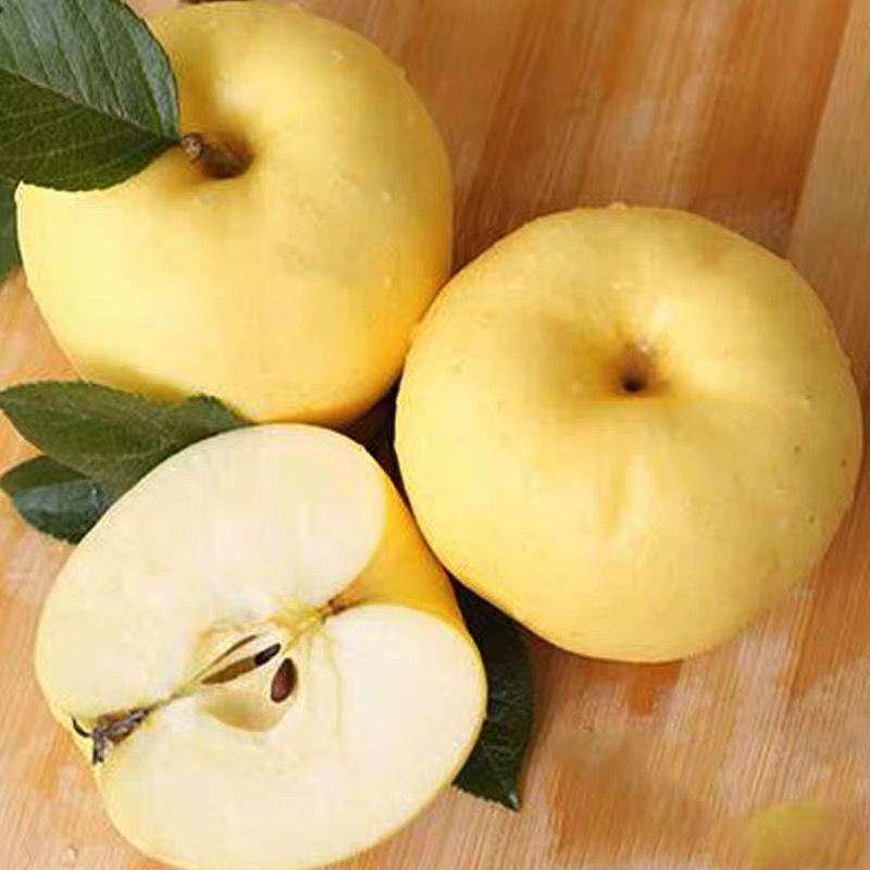 Marshal Apple 10 catty gold handsome yellow banana powder noodles yellow Pingguo 5 Elderly children Deputy food scraped fruit 3