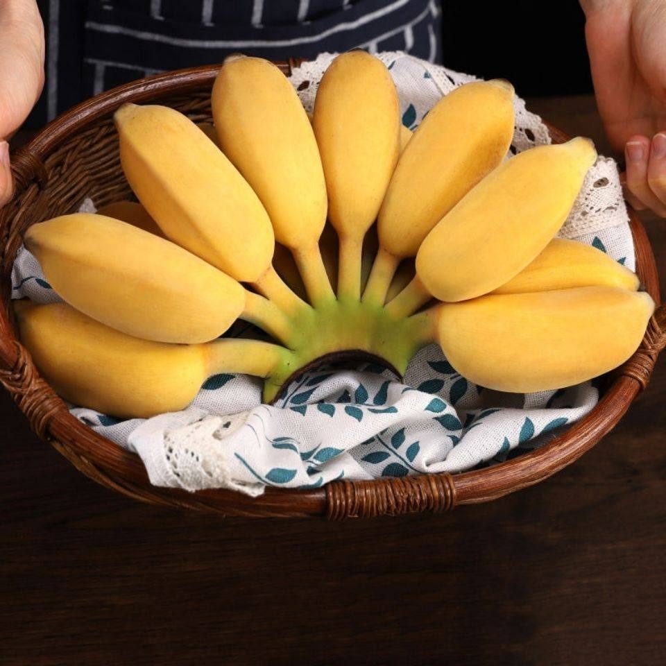 Apple banana 5 catty fresh order fruit hair pregnant woman banana non-Guangxi millet Banana Powder Glutinous Aroma Sweet Spot to be found 3