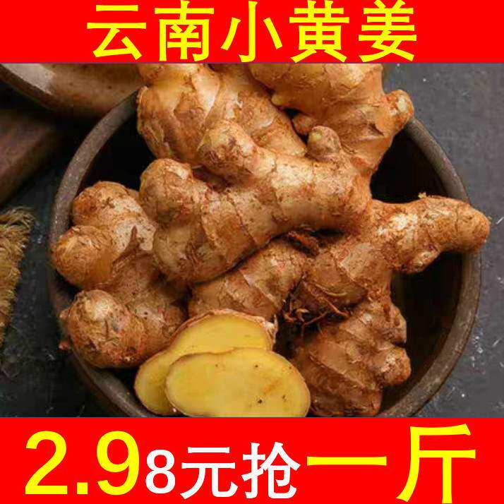 Yunnan fresh small yellow ginger vegetable 1 pound 3 pounds of ginger jiang and ginger moon ginger