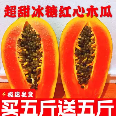 Super sweet special offer 10 kg a whole box of Guangxi red heart milk papaya fresh fruit Rock sugar papaya batch Ripe green on the tree