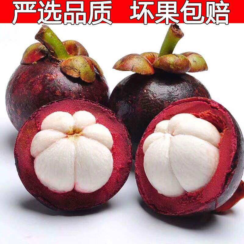 Cisfeng Dorbin Hills Bamboo Oil Hemp Bamboo net Heavy 3 catties Big fruit 5A Fresh off Season Pregnant Woman Fruit Soft Glutinous sweet 5