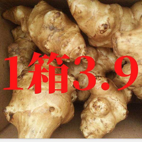 Now dig wild artichoke 10 pounds of ginger pickles tender ginger 5 pounds of non-spicy devil ginger fresh vegetables whole box of 3 pounds