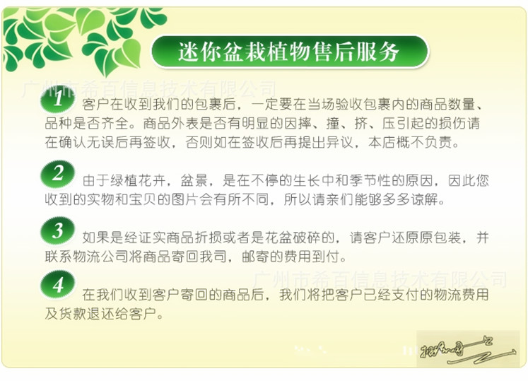 Bình thủy tinh trong suốt nhà máy thủy tinh chai thủy canh hoa đặc biệt văn hóa nước tàu xiên miệng thủy canh chai chậu hoa hoa đứng chậu nhựa trồng hoa
