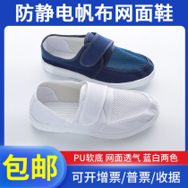 Mesh White Canvas Middle Scarf Shoes Antistatic Shoes Soft Bottom Dust-free Food Electronics Factory Purifying Clean Working Cotton Shoes