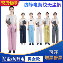 Anti-static clothing dust pants split clothing pants dust-free clothing pants white blue striped 5MM mens and womens work pants