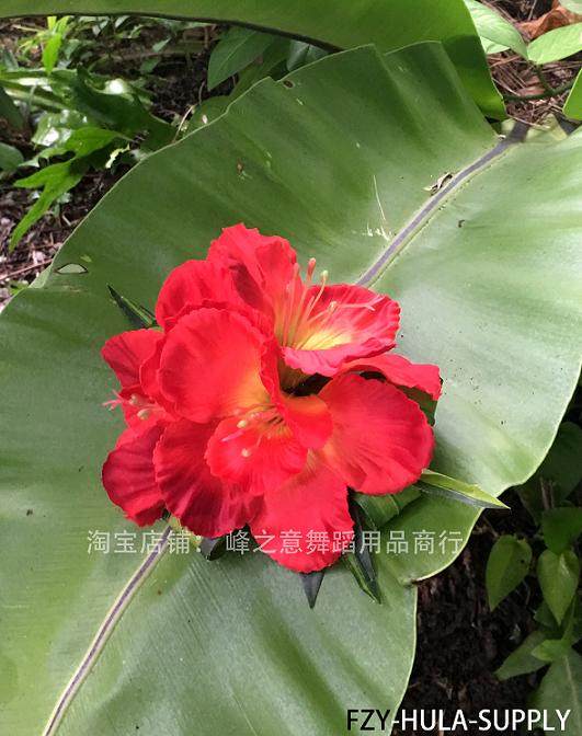 Hawaiian hula style Fuso flower headdress seaside headflower beach hair ornament Hair Accessories