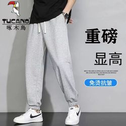 Woodpecker sweatpants men's spring and autumn new style heavyweight loose casual plus velvet thickened large size leggings sports pants trendy