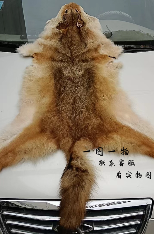 High-End Whole Raccoon Fur Sofa Chair Cushion Carpet Fur Integrated Seat Cushion Bedside Blanket Bay Window Mat Prop Background High-End Whole Raccoon Fur Sofa Chair Cushion Carpet Fur Integrated Seat Cushion Bedside Blanket Bay Window Mat Prop Background