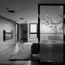 Art glass custom tempered carved glass entry porch background wall shoe cabinet screen partition memory Jiangnan