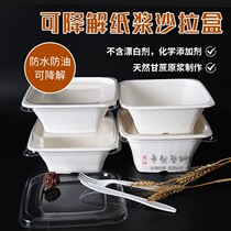  Disposable pulp lunch box Light food fitness salad packing box degradable environmental protection takeaway lunch box with lid lunch box