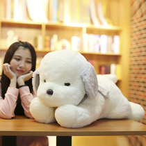 Large dog doll Plush toy Ragdoll Childrens doll Birthday gift Girl hug dog sleeping pillow