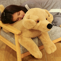 Labrador plush toy dog Childrens gift doll Simulation dog Golden Retriever dog cute doll doll