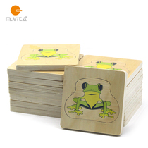 Flawless frog growth multi-layer chimpanchon Monzis science and culture woody teaching aids