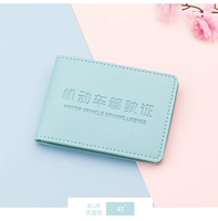 Лицензия водительских прав на автомобиль 2