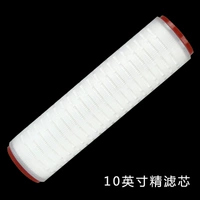 10 -INCH FINE FILTER ELEMENT