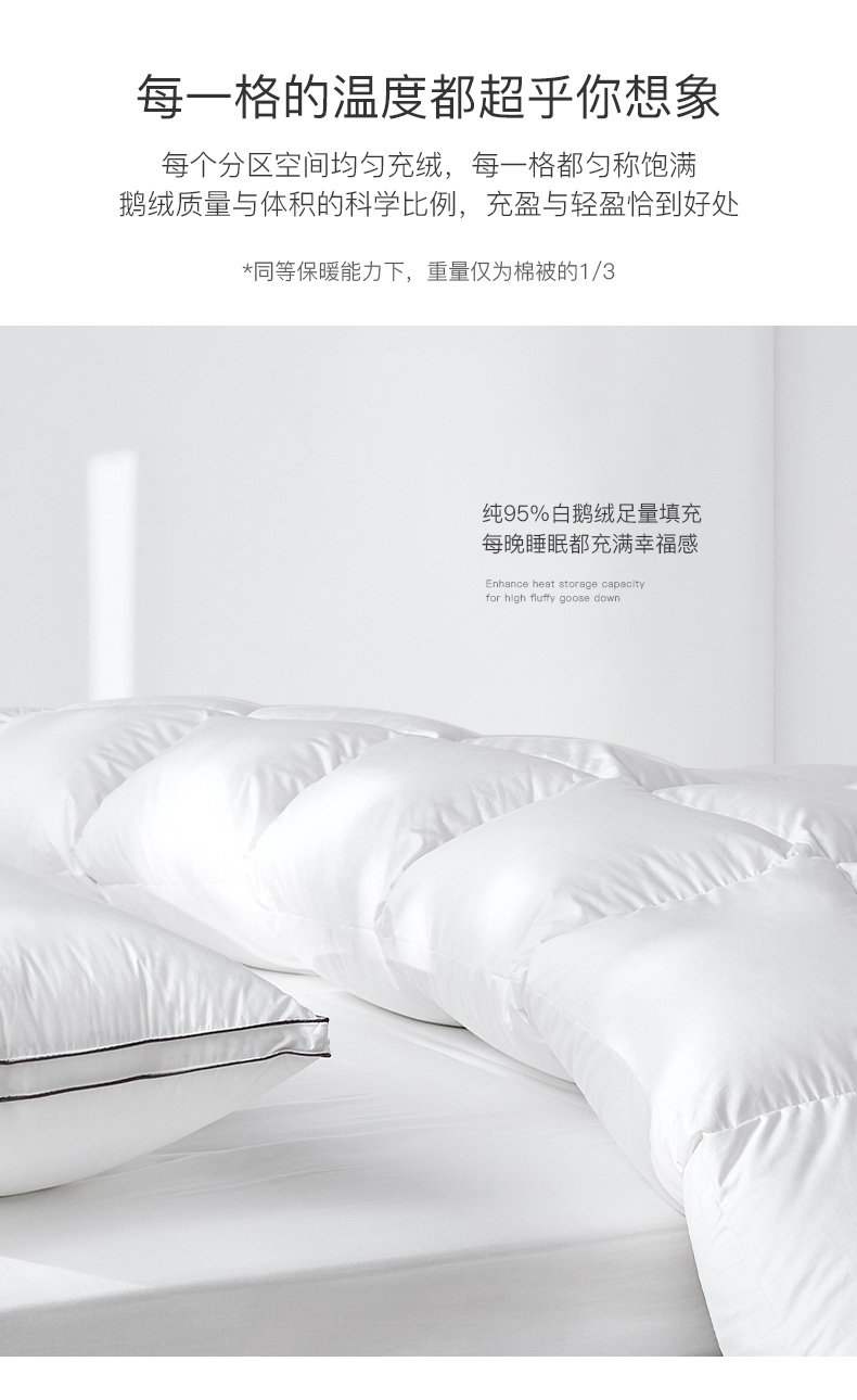 100-х годов Goose Down-new_10.jpg