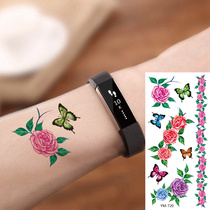 Small fresh coloured painted scratches arm wrists waist legs rose flowers butterfly bracelet tattooed sticker waterproof persistent X720