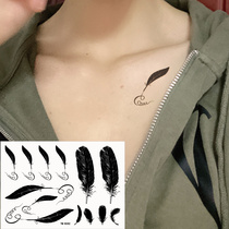 Hipster sexy fashion arm wrist front chest back English bird hair black feather tattoo sticker waterproof K042