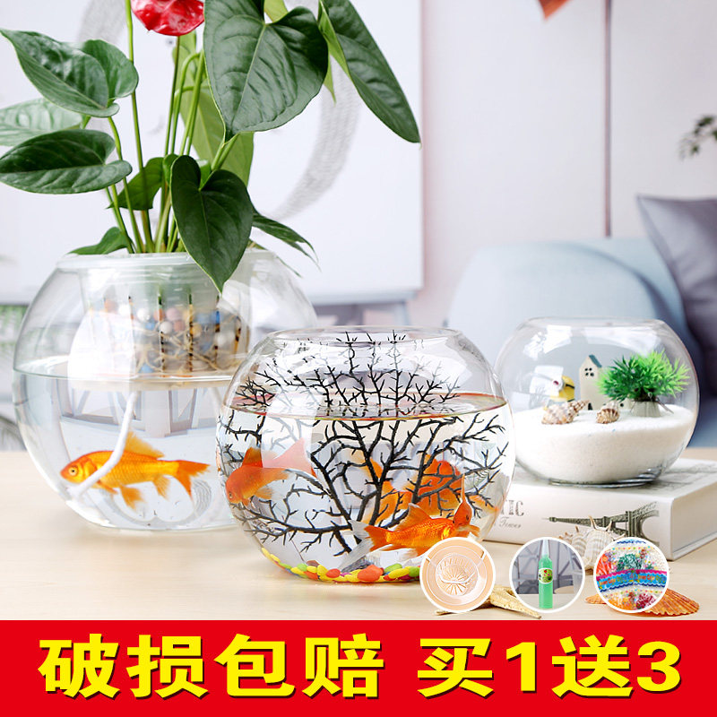 Large glass hydroponic plant flowerpot office desktop water-raised green radish copper money grass vase round transparent fish tank