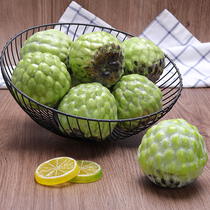 Simulation Foam Pan Lychee Fruit Vegetable Model Photography Write Real Home Decoration Shop Window Cabinet Furnishing Early Education