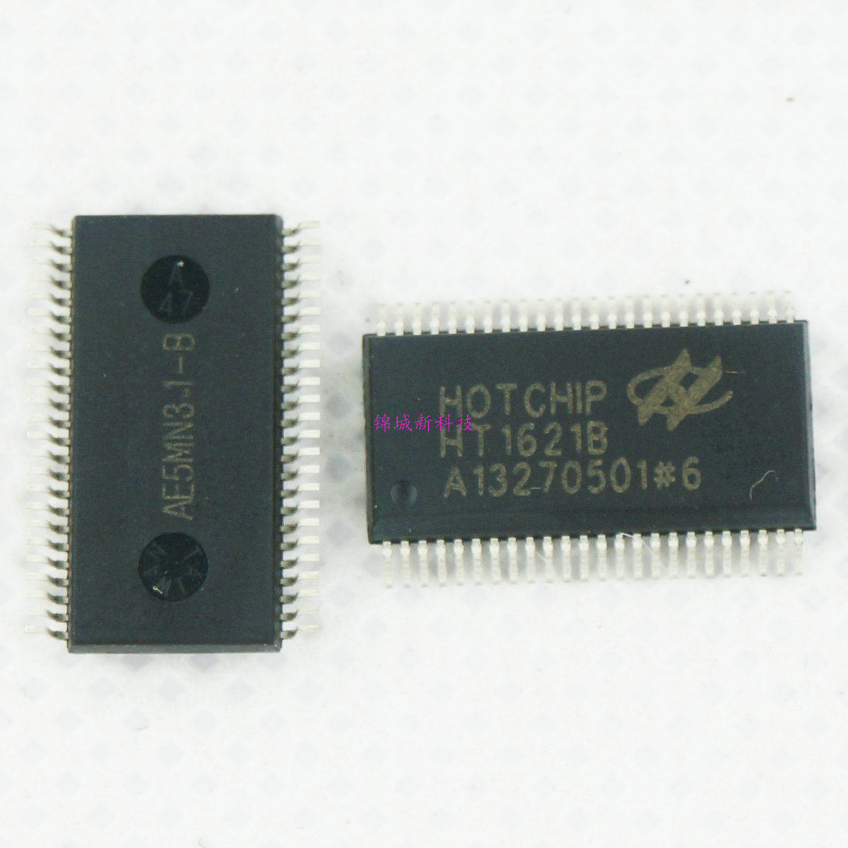 SMD HT1621B LCD driver RAM mapping LCD chip SSOP-48 new original