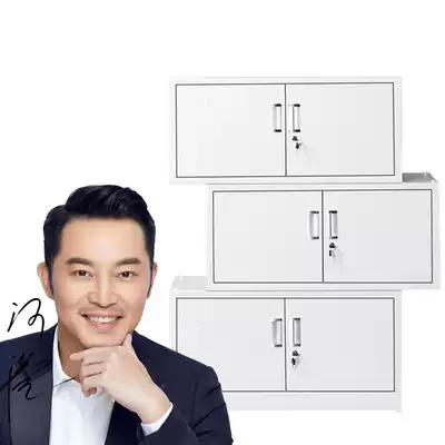 File cabinet Office cabinet steel locked iron cabinet File cabinet storage cabinet two-piece three-section combination low cabinet