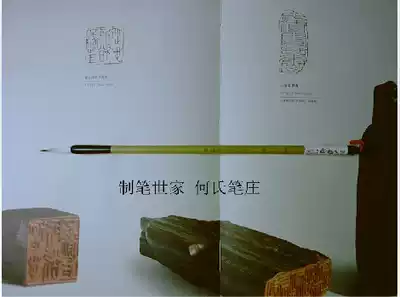 Brush hook line brush God hook small leaf tendon flower and bird painting branch stem leaf vein hook line He's pen village