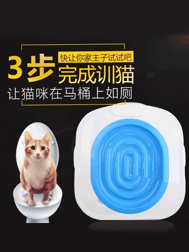 Устройство для туалета для кошек кошка сидит туалетное устройство для туалета.