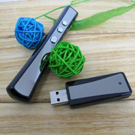 Flood laser pen PP-900