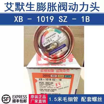 ALCO XB-1019SZ-1B Thermal expansion valve EMERSON EMERSON power head R404A 061948