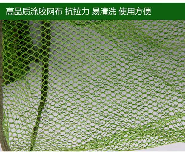 Chăm sóc cá Ngư dân lưới bắt quái