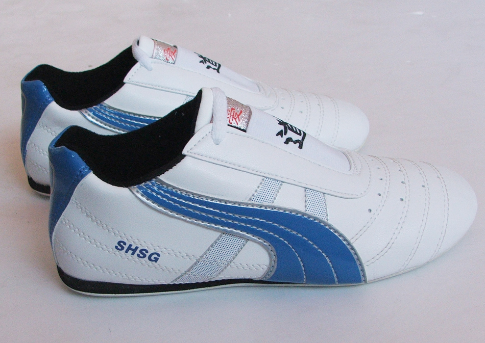 Aiwu taekwondo shoes adult taekwondo shoes children's taekwondo shoes kung fu shoes