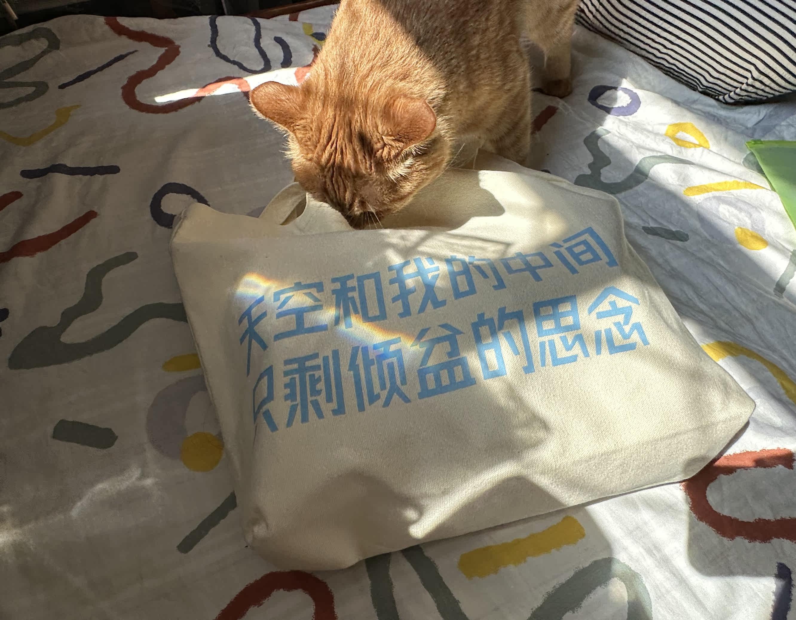 Мода холст 五月天周边帆布包/自制通勤帆布棉布大容量托特包小众单肩包