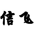 信飞电脑品牌店