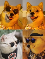 Pet Dog Glasses Sunglasses Sunglasses Chai Dogs Teddy Small And Medium Dog Creative Toy Dolls Photo Sunglasses Kittens kittens