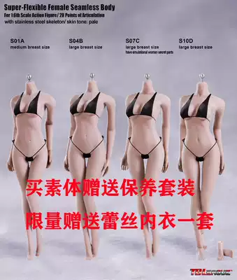phicen reinforced female body S01A S04B S07C S10D TBLeague spot