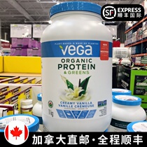 Canada direct mail VEGA Green pure plant protein powder healthy nutrition meal replacement powder vanilla flavor 1kg