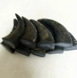 Десять лет говяжьего рога твердые рога