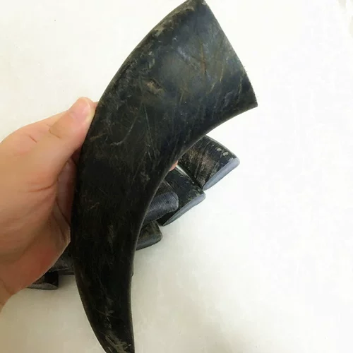 Десять лет говяжьего рога твердые рога