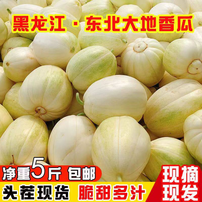 小张鲜生水果原产地
