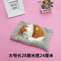 Вильветный большой спящий кот желтый блок