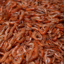 Hunan farm homemade dried small shrimps small shrimps dried shrimps dried farm shrimps sun-dried goods Huaihua Yuanling specialty