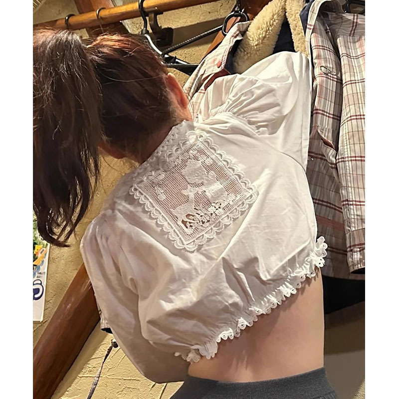 Pig Ouni Korean Dongdaemun Spring/Summer Vintage Embroidered Lace Trim Reversible Short Shirt for Women