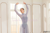 Dance love 2018 new ballet dance practice uniform adult body top women high collar classical dance gauze