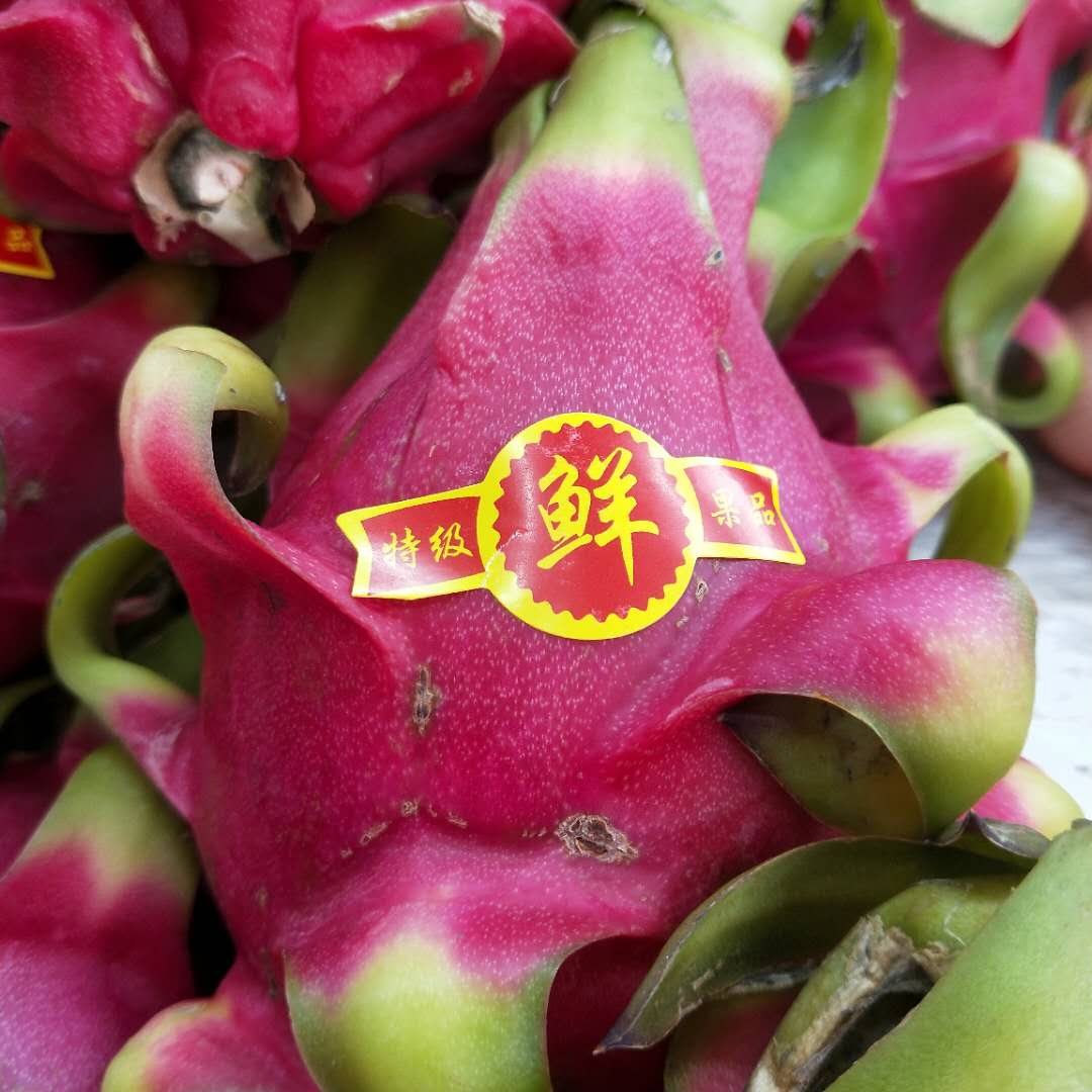 Special-grade fresh word fruit with apple watermelon hammered melon boutique fruit adhesive label stickers trademark